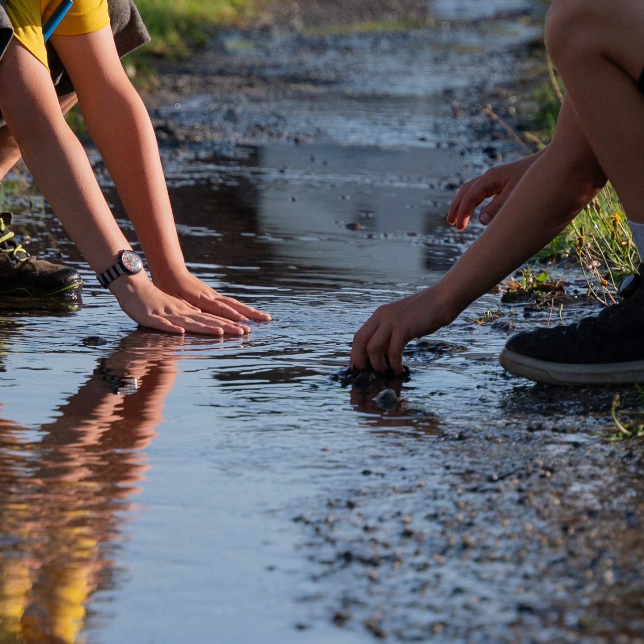 psychoterapie-a-poradenstvi-deti-adlerovsky-pristup