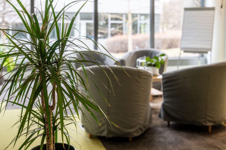 poradenstvi-psychoterapie-terapeutovna-2