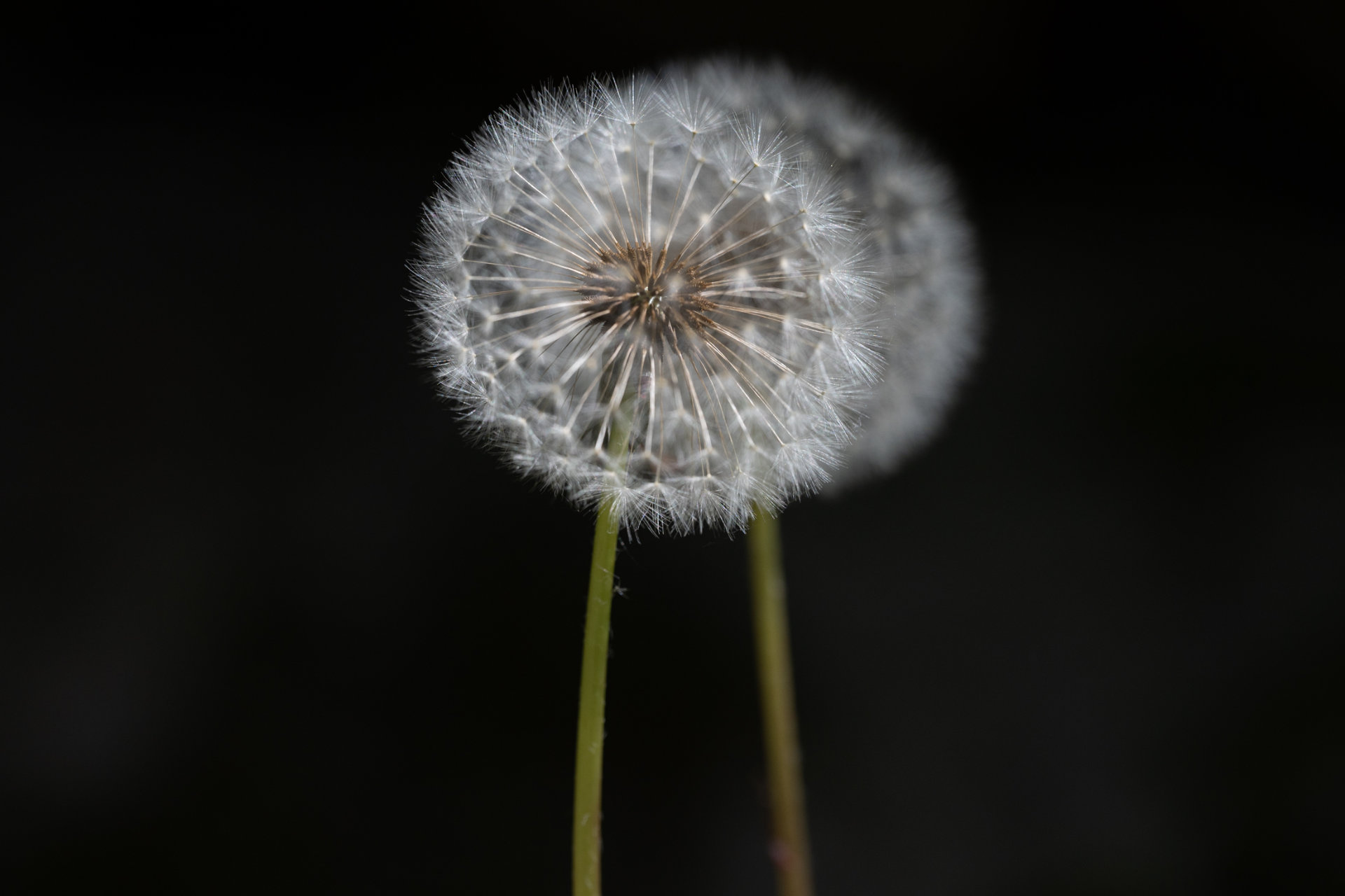 uzkost-a-deprese-provazeni-klientu-s-uzkostnou-symptomatikou