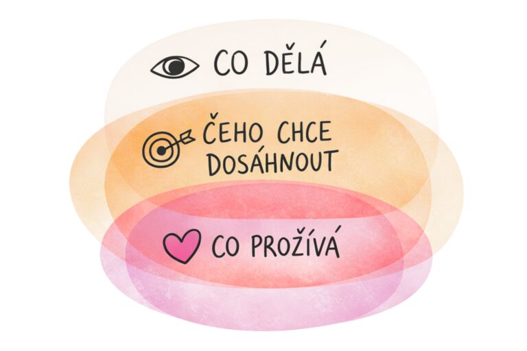 moznosti-supervize-mapa-porozumeni