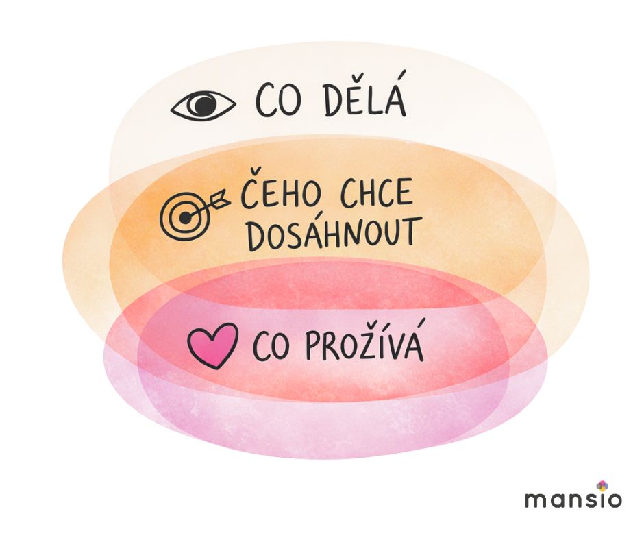 moznosti-supervize-mapa-porozumeni